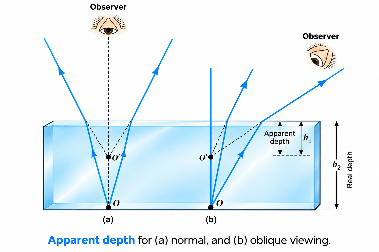 Figure 9.10: Apparent depth for (a) normal, and (b) oblique viewing.